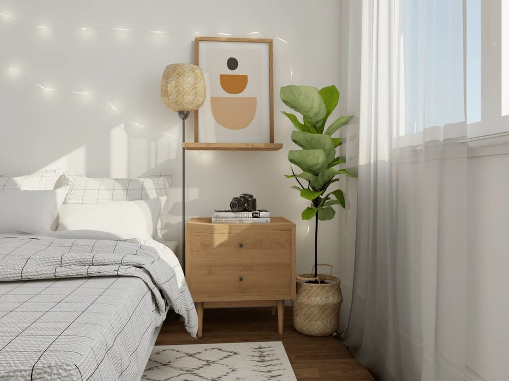 cozy living room tall potted plants in a bright corner