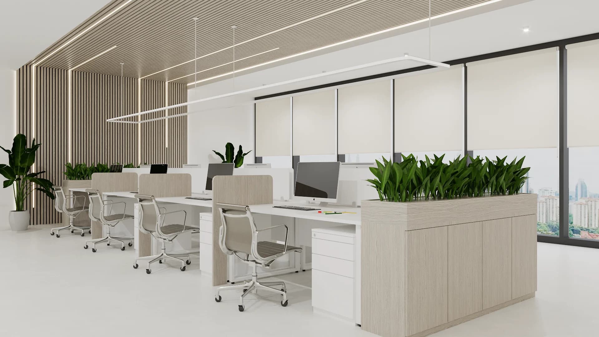 Open office workstations with cream task chairs, white roller shades, oak slat wall, and planter dividers