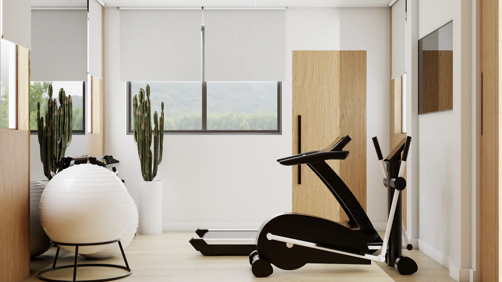 Elliptical machine and exercise ball beside tall cactus plants near window