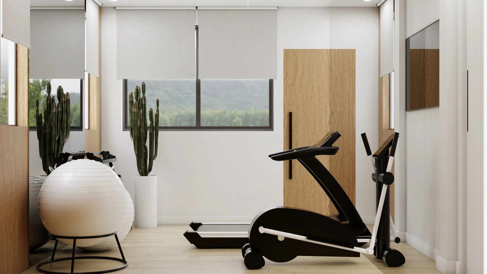 Bright gym corner with elliptical, exercise ball, cactus, and roller blinds over garden window