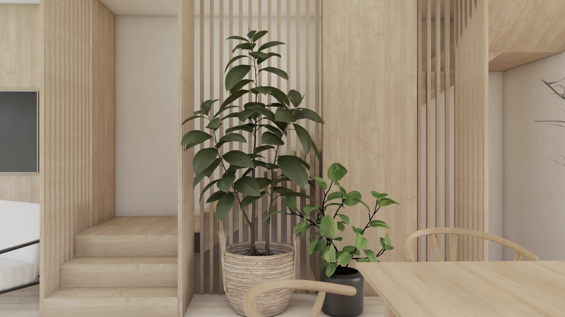 Japandi open-plan space with a pale blonde wood vertical slat stair screen, large rubber plant, and natural wood dining area
