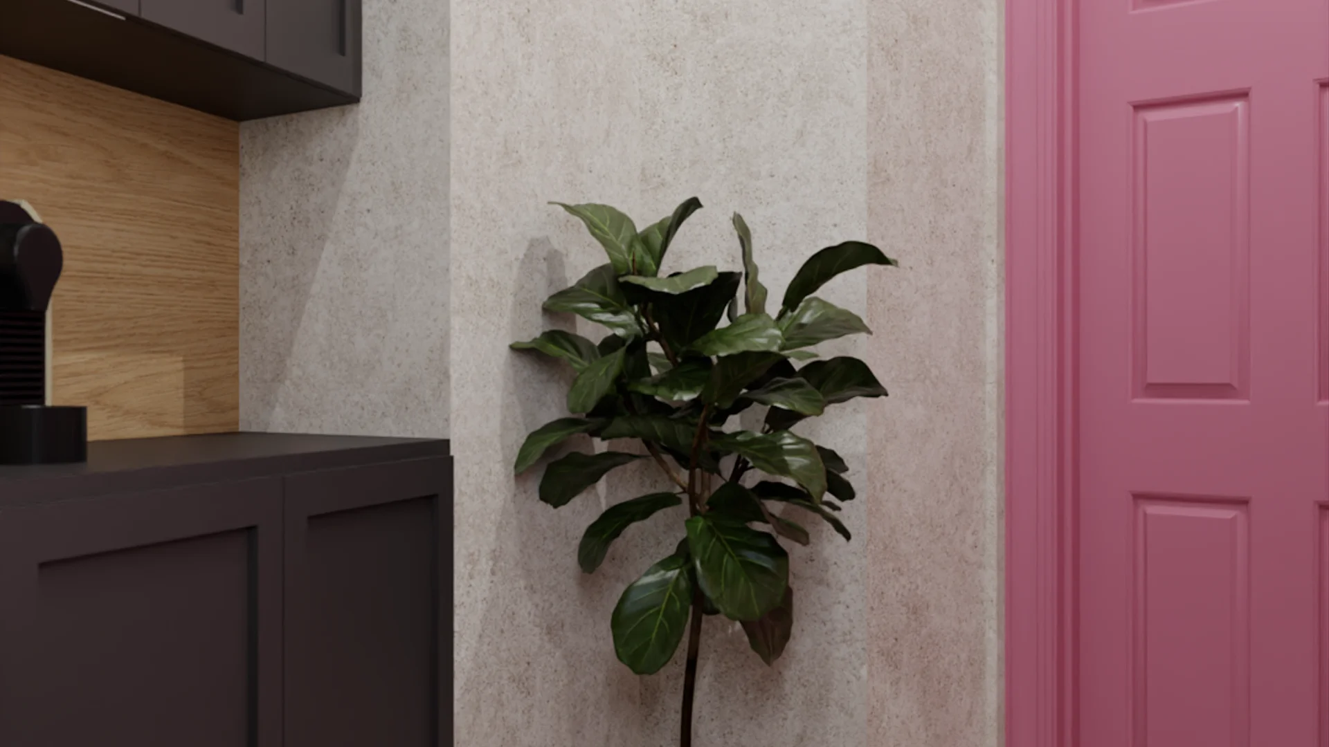 Studio kitchenette with charcoal shaker cabinets, fiddle leaf fig, and pink door